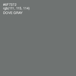 #6F7372 - Dove Gray Color Image